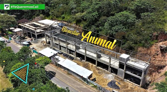 Avanza construcción del Centro de Bienestar Animal en Cali